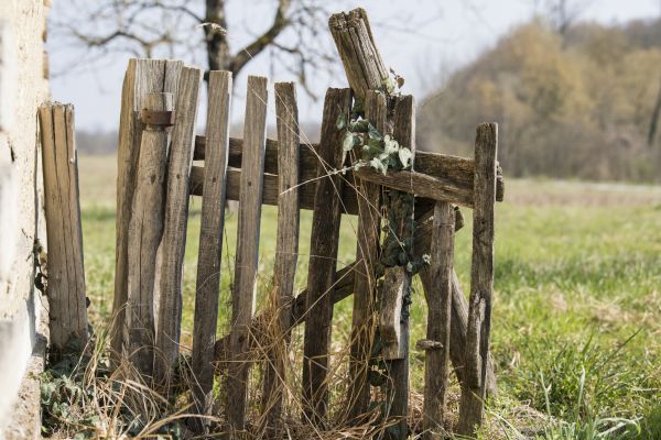 Wood Fence Removal